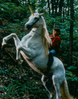 NicoTheUnicorn_28629.jpg