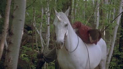 cap114526.jpg