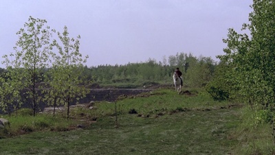 cap114951.jpg