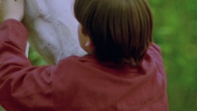 cap122126.jpg