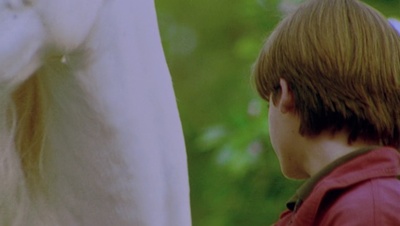 cap122576.jpg