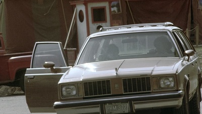 cap22351.jpg