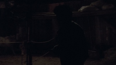 cap42301.jpg