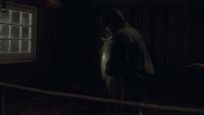 cap42726.jpg