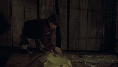 cap43901.jpg