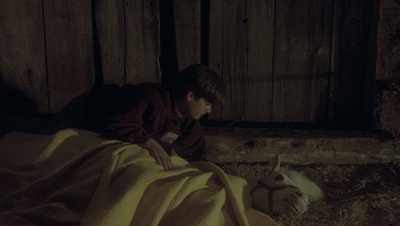 cap44026.jpg