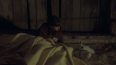 cap44051.jpg