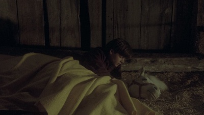 cap44076.jpg
