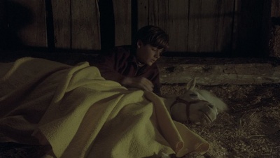cap44126.jpg