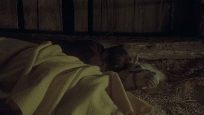 cap44226.jpg