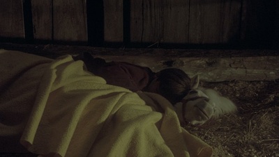 cap44301.jpg