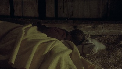 cap44351.jpg