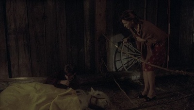 cap47276.jpg