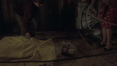 cap47826.jpg