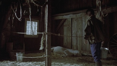 cap49126.jpg