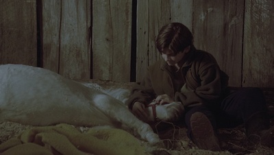 cap49476.jpg