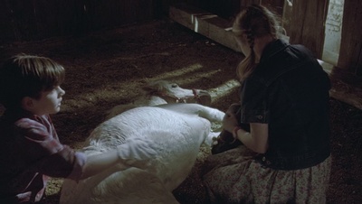 cap50376.jpg