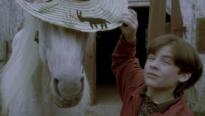 cap74076.jpg