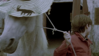 cap74226.jpg