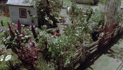 cap77501.jpg