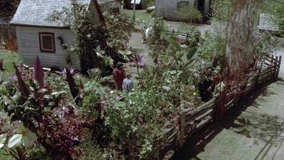 cap77551.jpg