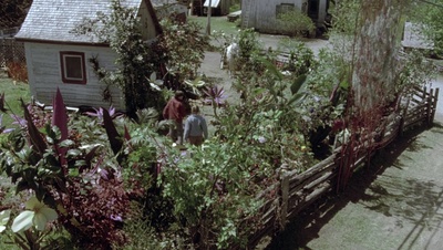 cap77576.jpg