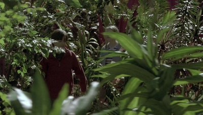 cap77701.jpg