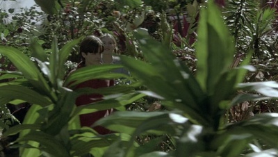 cap77726.jpg