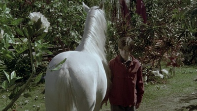 cap79026.jpg