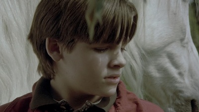 cap79126.jpg