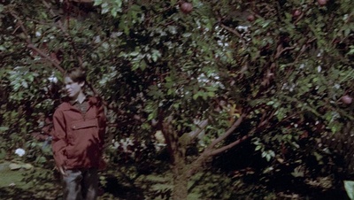 cap81376.jpg