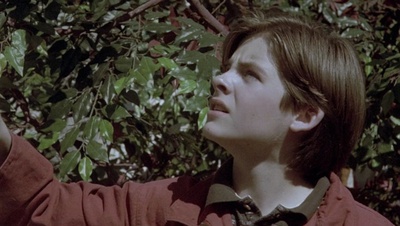 cap81801.jpg