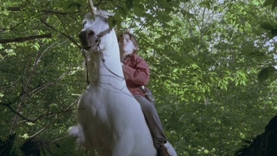 cap99351.jpg