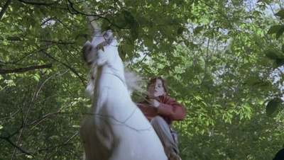 cap99376.jpg
