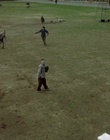 cap05851.jpg