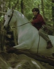 cap103301.jpg