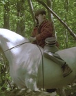 cap103401.jpg