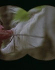 cap109926.jpg
