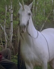 cap114426.jpg