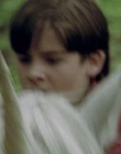 cap114751.jpg
