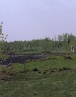 cap114876.jpg