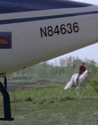 cap115376.jpg