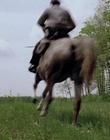 cap115651.jpg