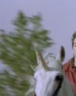 cap115926.jpg
