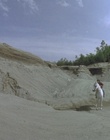 cap117126.jpg
