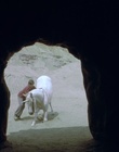 cap117526.jpg