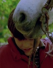 cap119526.jpg