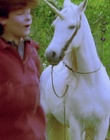 cap119901.jpg