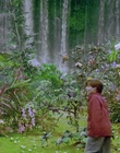 cap119951.jpg