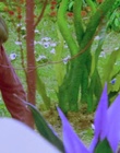 cap120326.jpg
